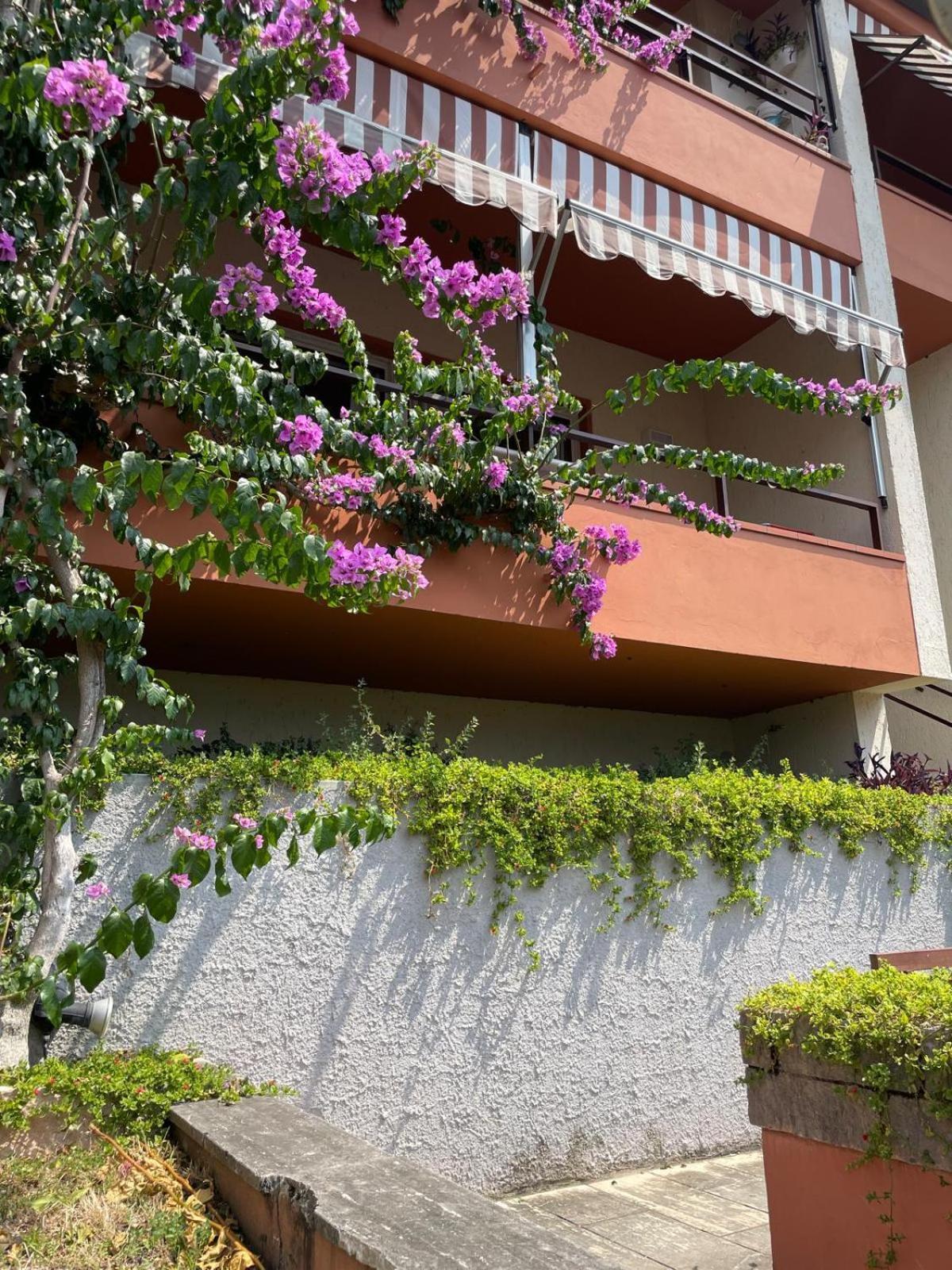Residence Kormorano Malcesine Eksteriør billede